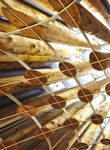 생명의빛_ WOOD PLANET 2014.8_Page_01.jpg