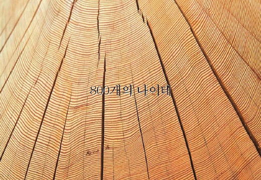 201408 WOOD PLANET